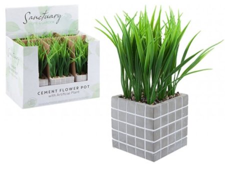 (image for) PMS CEMENT SQUARE POT + GRASS