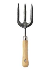 (image for) KINGFISHER WOODEN HANDLED HAND FORK