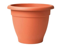 (image for) ADORN FLOWER POT TERRRACOTTA