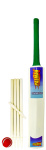 (image for) PG CRICKET SET
