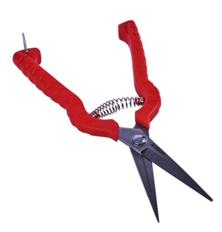 (image for) AMTECH PRECISION SECATEURS STAINLESS STEEL-STD