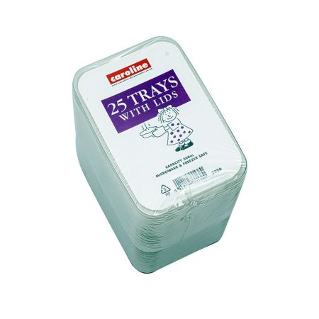 (image for) Caroline Plastic Container- 500ml