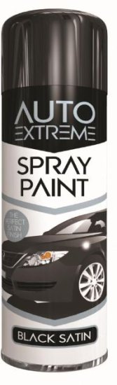 (image for) SPRAY PAINT BLACK SATIN RAP