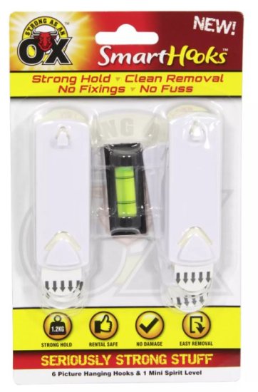 (image for) SAAO PICTURE HOOK+M/SPIRIT LEV