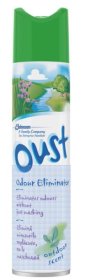 (image for) OUST AEROSOL CLEAN SCENT - 300ML