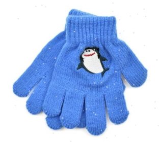 (image for) RJM BOYS GLOVES EMBROIDER DESI