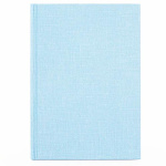 (image for) SILVINE A5 CASEBOUND BOOK - 217X154