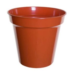 (image for) PLANT POT TERRACOTTA 10"