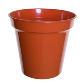 (image for) PLANT POT TERRACOTTA 8"