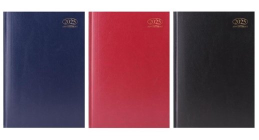 (image for) DIARY 2025 WTV APPOINTMENT