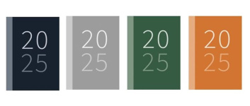 (image for) DIARY 2026 WTV ASST POCKET