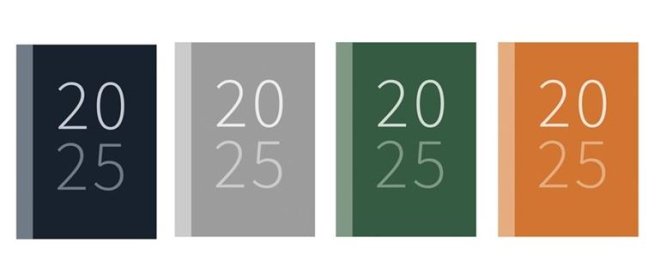 (image for) DIARY 2026 WTV ASST POCKET