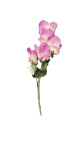(image for) JL ART FLOWER ROSE PURPLE