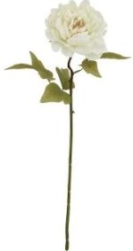 (image for) JL ART FLOWER PEONY OFFWHT 5H