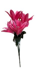 (image for) JL ART FLOWER LILLY PINK 5H