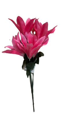 (image for) JL ART FLOWER LILLY PINK 5H