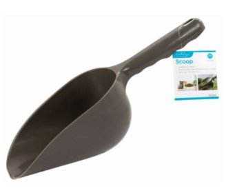 (image for) ASHLEY SCOOP