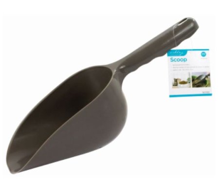 (image for) ASHLEY SCOOP