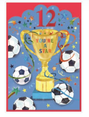 (image for) SEL BIRTHDAY CARD AGE 2 TODAY - STD