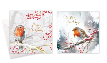 (image for) XMAS CARD SQ ROBIN - 10S 