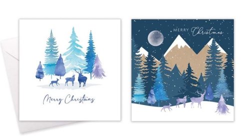 (image for) XMAS CARD SQ MIDNIGHT FOREST - 10S 