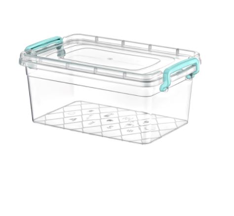 (image for) STORAGE BOX+LID CLEAR MAXI NO2