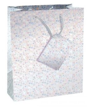 (image for) COUNTY GIFT BAG HOLOGRAPHIC ASSORTED - MEDIUM