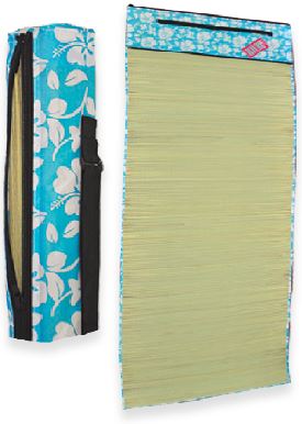 (image for) PG BEACH MAT PRI/ZIPCOVER