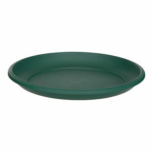 (image for) MILANO SAUCER GREEN
