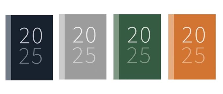 (image for) DIARY 2026 WTV ASST POCKET