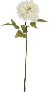 (image for) JL ART FLOWER PEONY OFFWHT 5H